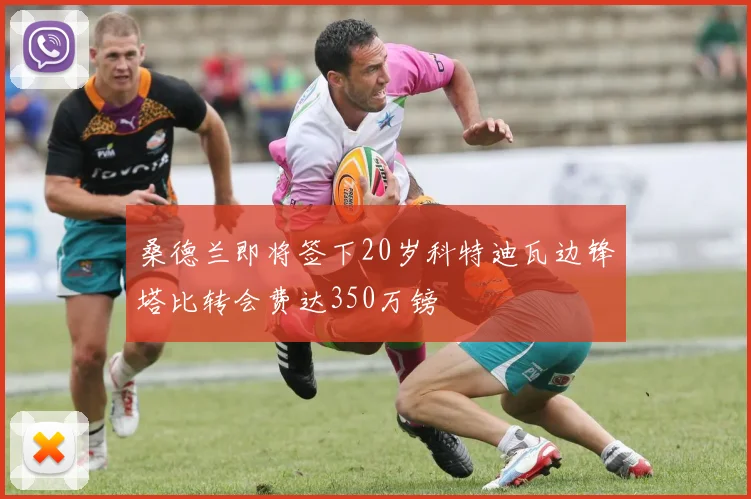 桑德兰即将签下20岁科特迪瓦边锋塔比转会费达350万镑